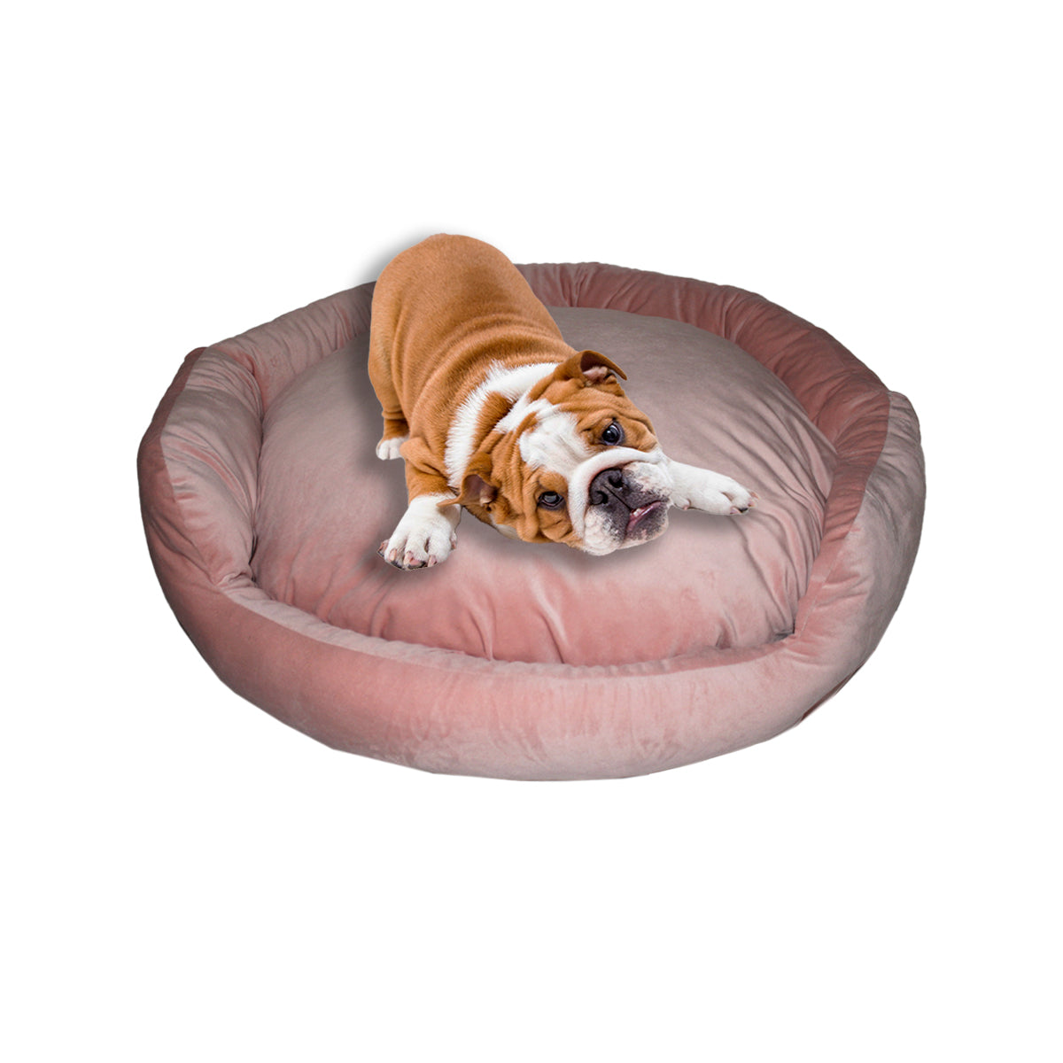 CAMA REDONDA COJIN DESMONTABLE MEDIANA 9645