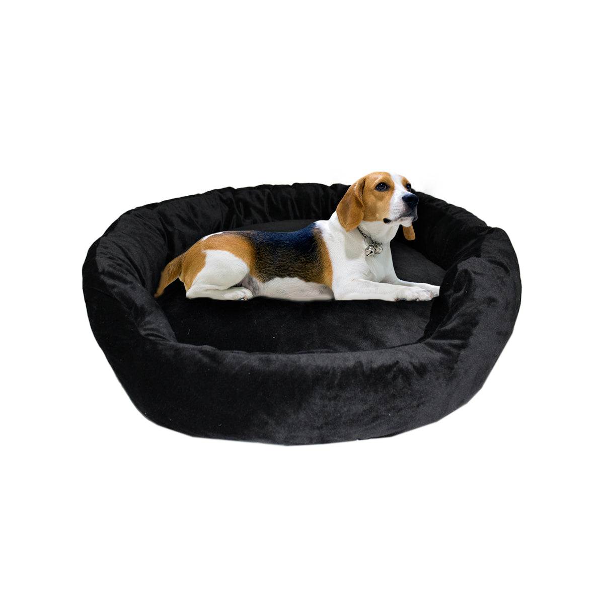 CAMA REDONDA COJIN DESMONTABLE MEDIANA 9647